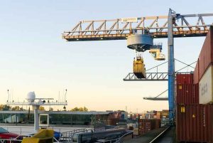 Jenis Jenis Crane
